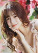 涉外法令专家和律